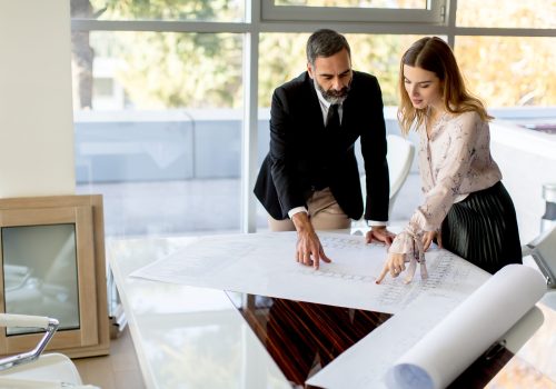 Business couple analyzing project in modern office